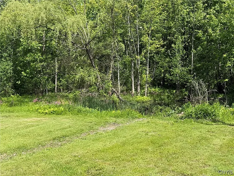6637 Dix Rd — Photo 5