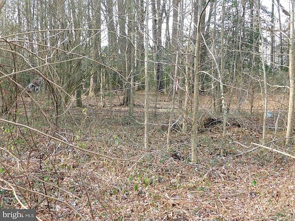 3rd image of 30871 E Line Rd