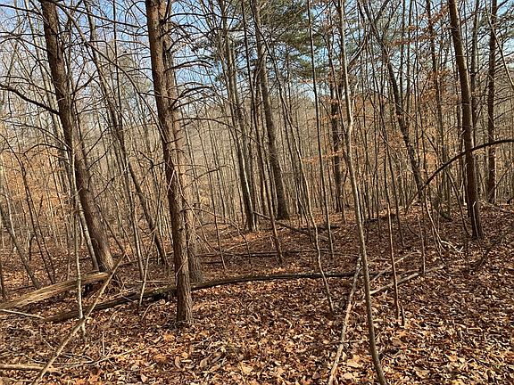 4th image of 161 Whistle Valley Rd