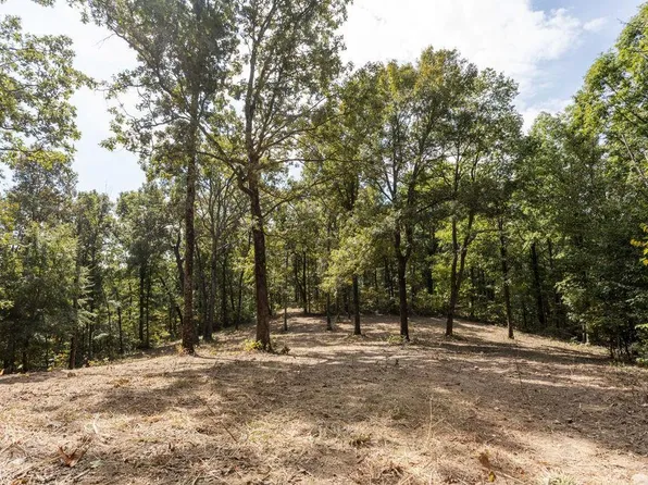 3149 Forest Service Rd, Doniphan, MO 63935