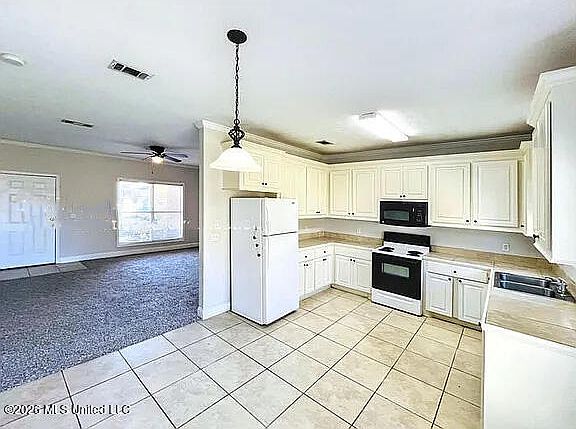2nd image of 571 King Ranch Rd