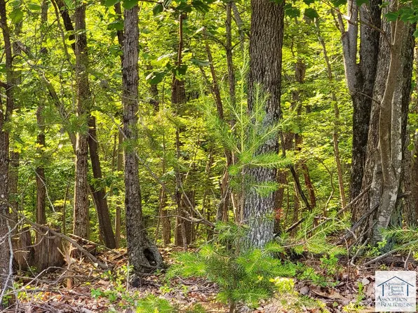 0 Horsepasture Price Rd, Ridgeway, VA 24148