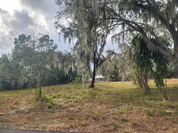 1409 Wilkinson Dr, Plant City, FL 33566