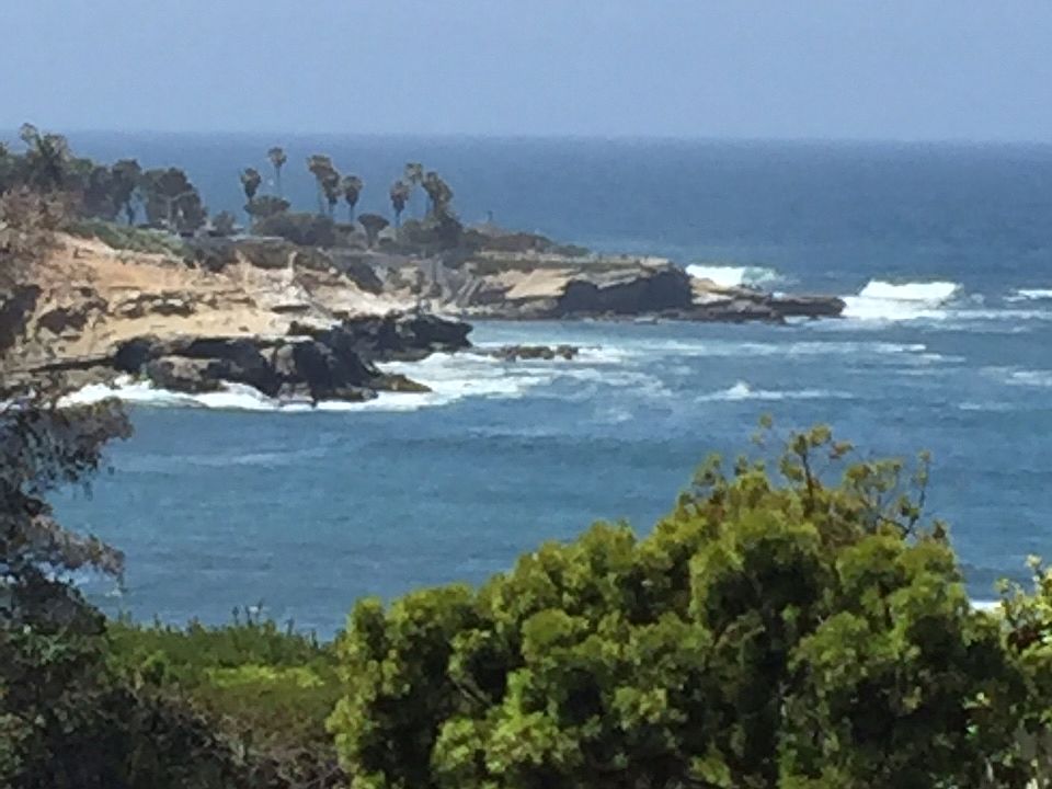 Cove View