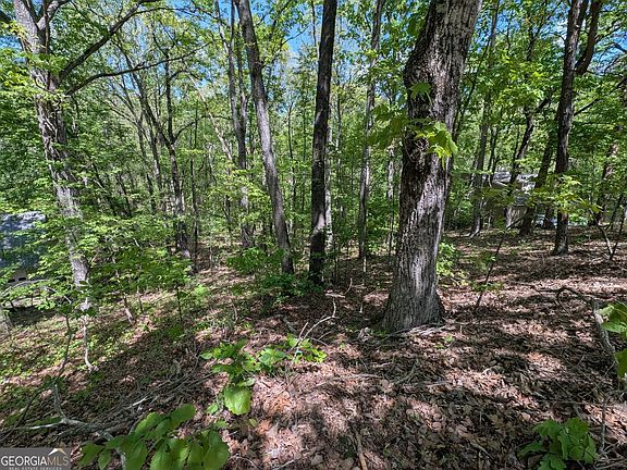 5th image of 110 Honeysuckle Dr