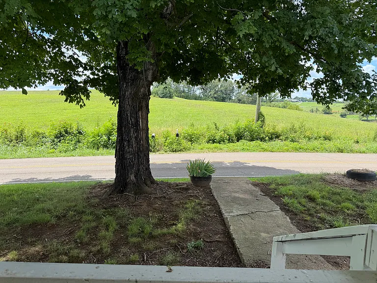 440A County Road 350 — Photo 3