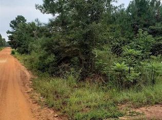 133 Barbara Trl, Livingston, TX 77351