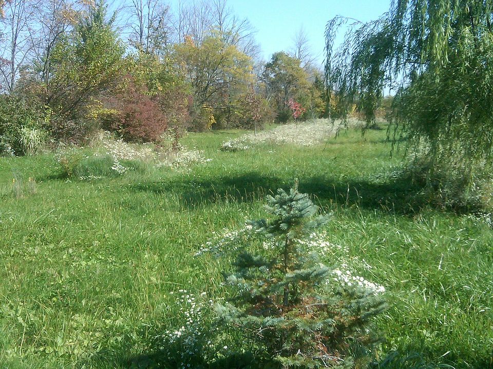 2nd image of 19801 W Zwicker Rd