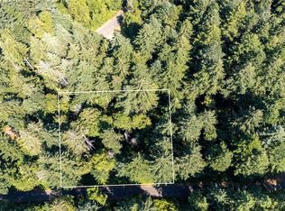8819 Eckenstam Johnson Road, Anderson Island, WA 98303