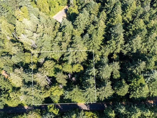 8819 Eckenstam Johnson Road, Anderson Island, WA 98303