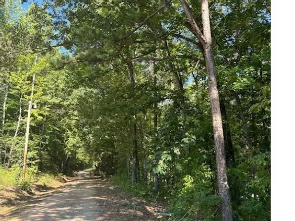 0 County Road 834 #0, Wadley, AL 36276