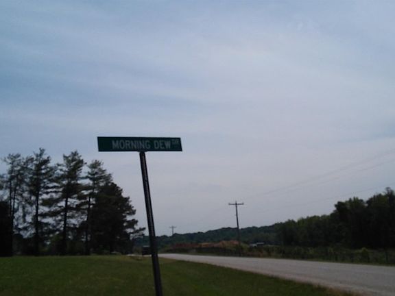 5th image of 126 Morning Dew Dr
