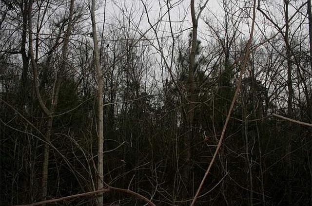2nd image of 137 Pontchartrain Oaks Drive