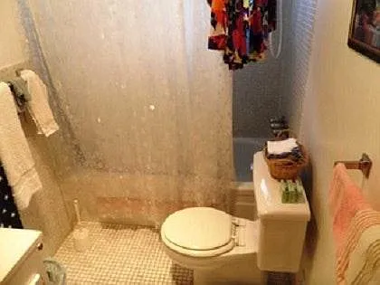 2 bed, 1.5 bath, 950 sqft, $2,100 — Photo 4