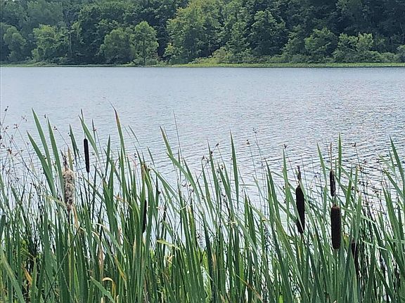 5th image of 11 Long Lake Dr
