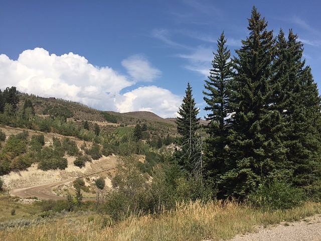 2nd image of 83 Norgaard Way