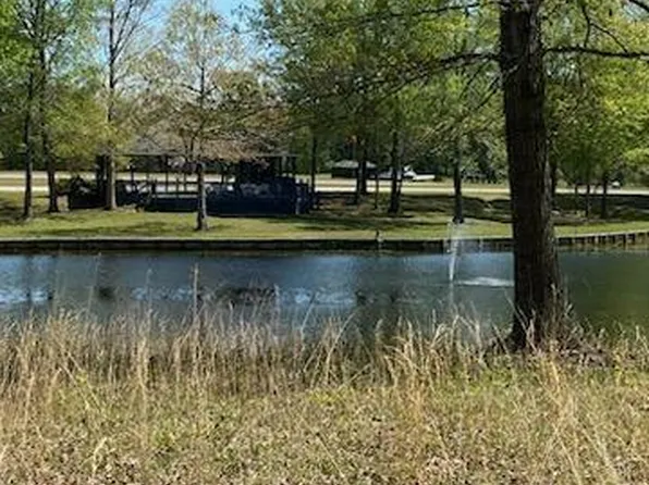 1045 Jonte Ln, Manning, SC 29102