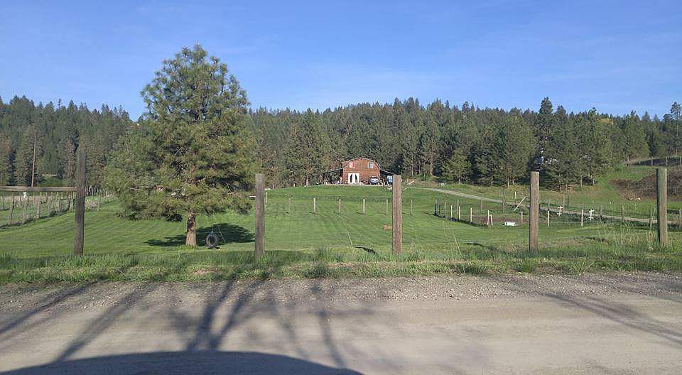 View of house and garden
