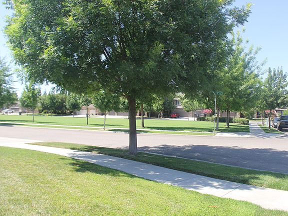 City Park Across Street