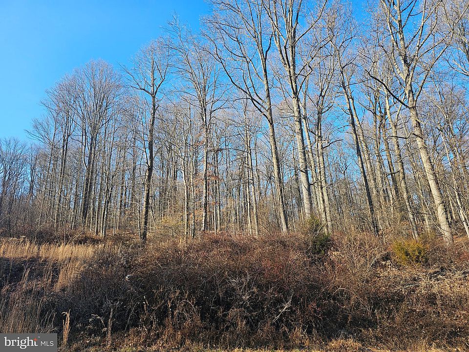 2nd image of 9 Kellen Ct