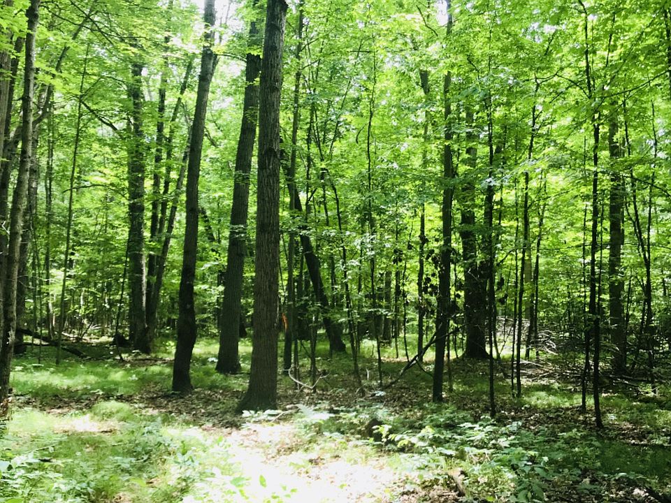 2nd image of 9485 W Dickerson Lake Rd