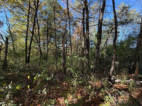 5th image of Delong Rd