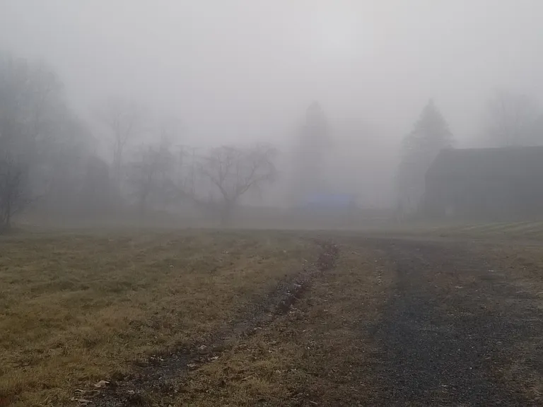 Foggy morning from behind the barn