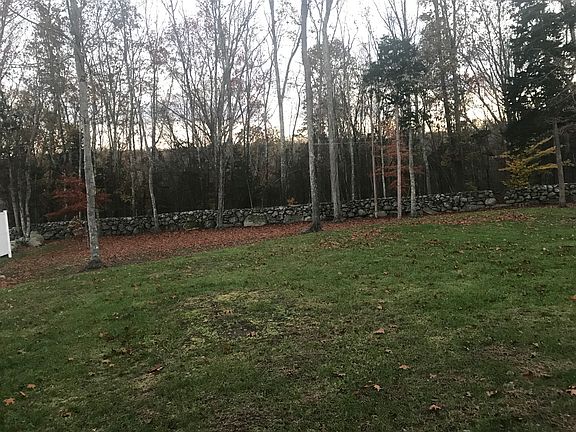 View of Woods, backyard.