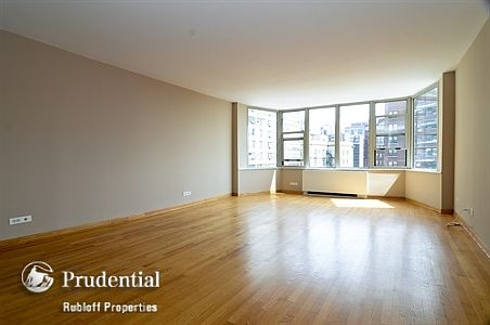 3rd image of 525 W Hawthorne Pl APT 1105