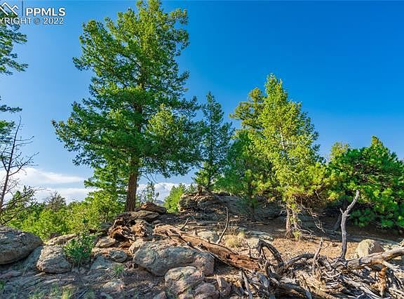 4th image of 441 Crescent Dr