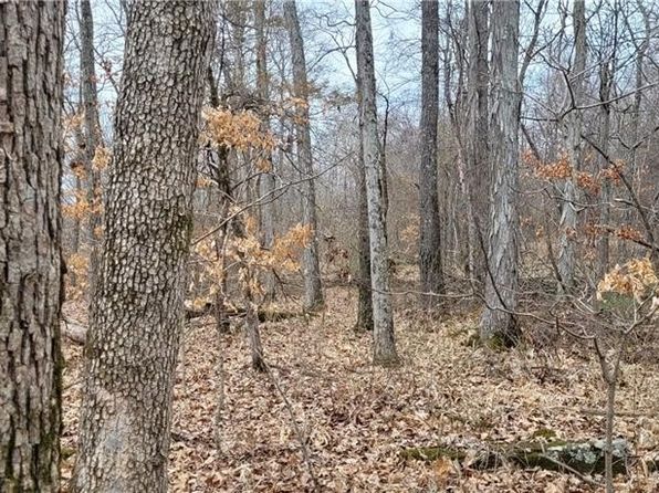 Gum Springs Rd, Parthenon, AR 72666