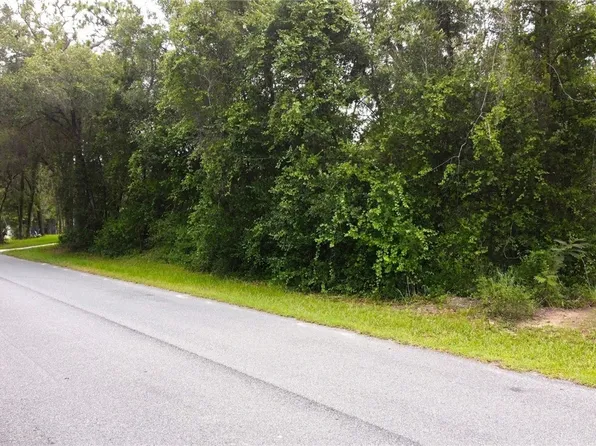 6982 N Palmer Way, Hernando, FL 34442