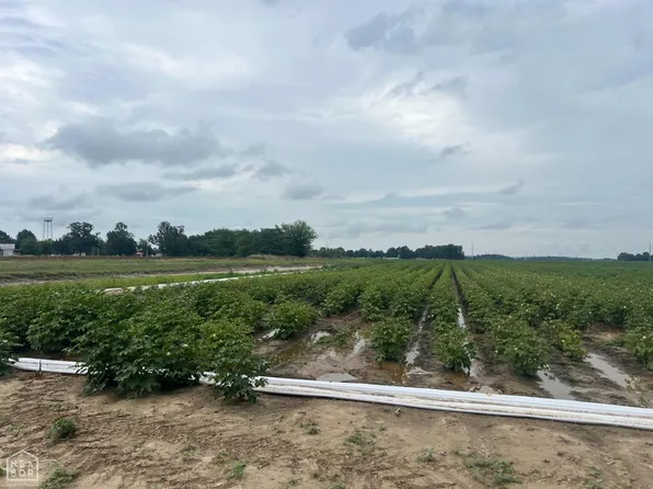 1 County Road 312, Corning, AR 72422