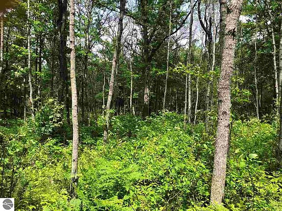 4th image of 00 Caberfae Hwy