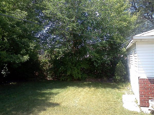 yard