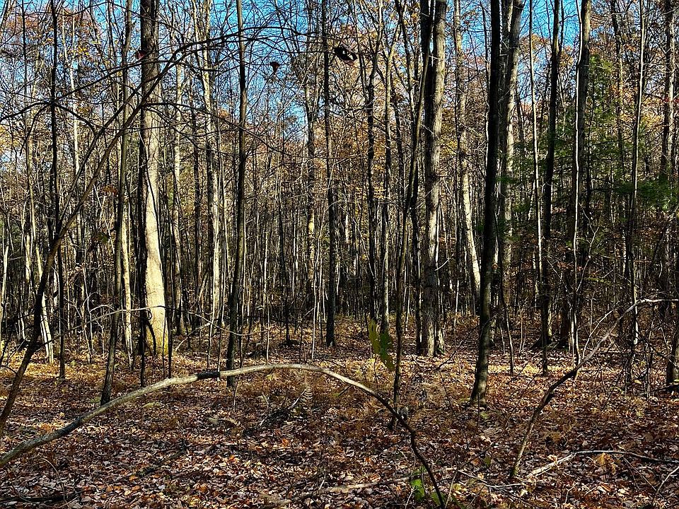 4 Beech Creek Mountain Rd, Beech Creek, PA 16822 Zillow