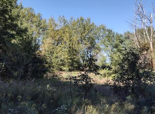 9762 N Bailey Rd, Howard City, MI 49329