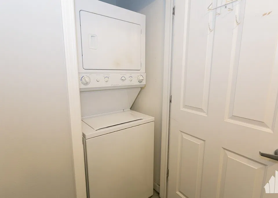 1462 S Michigan Ave #2004