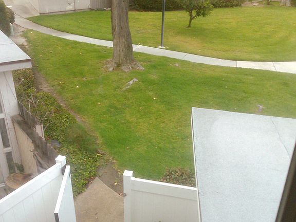 View from Master Bedroom