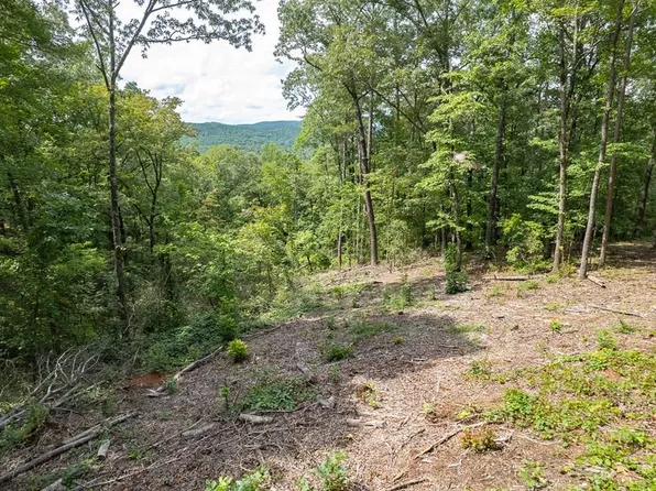 314 Pebble Trce, Talking Rock, GA 30175