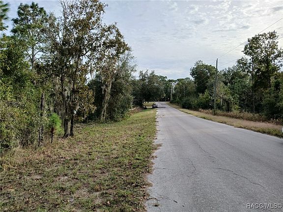 5th image of 11755 N Belluzzi Ter