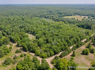 9126 160th Ave, Stanwood, MI 49346