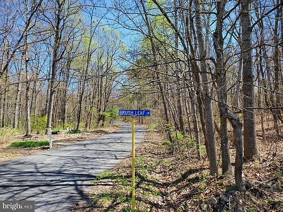 3rd image of Brush Leaf Ln