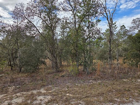 5th image of 0000 SE 128TH AVENUE LOT 6