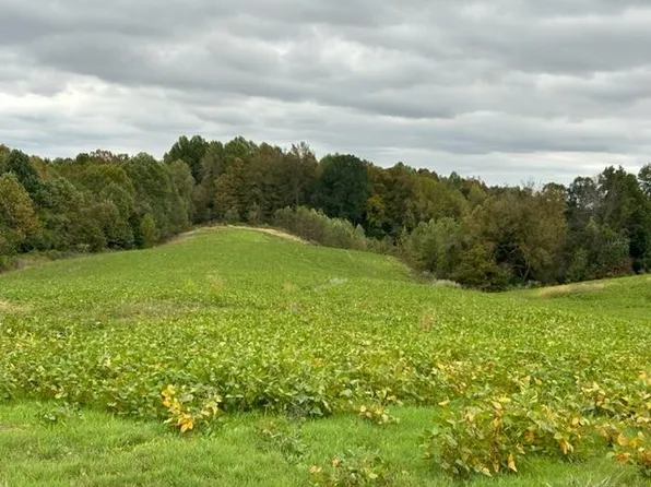 4475 Cedar Flat Curtis Rd, Edmonton, KY 42129