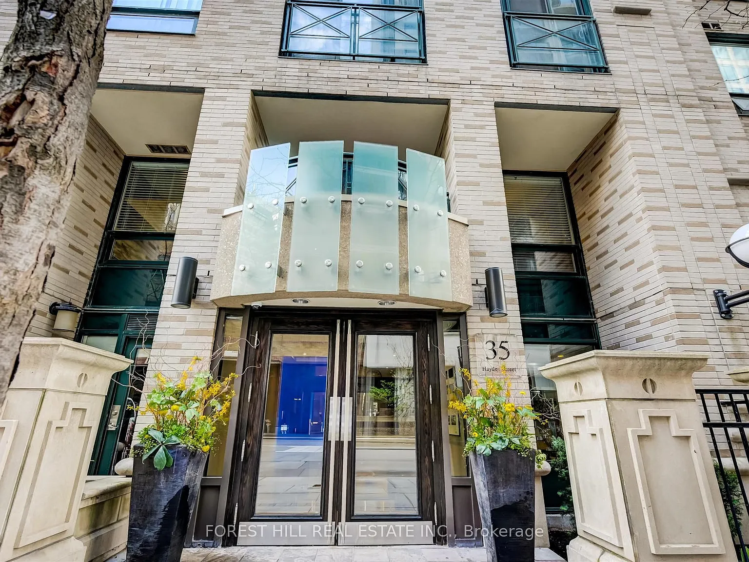 1 bed, $3,100 — Photo 4