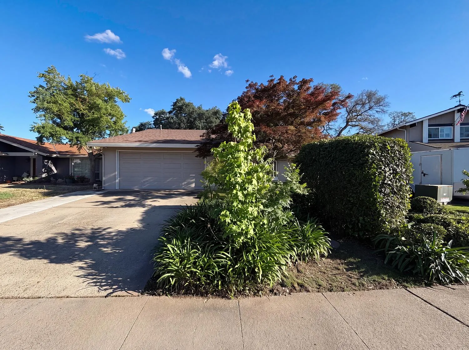 9648 Elmira Cir photo 1