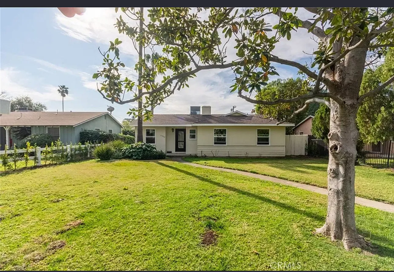 3 bed, 1250 sqft, $3,750 — Photo 2