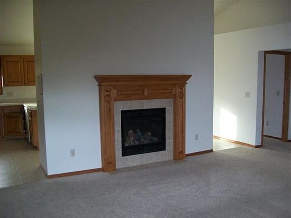 Gas log Fireplace