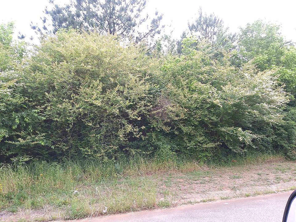2nd image of Mineral Springs Ln #39